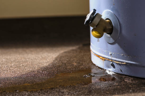 Best 24-hour water damage restoration  in Laurel Bay, SC