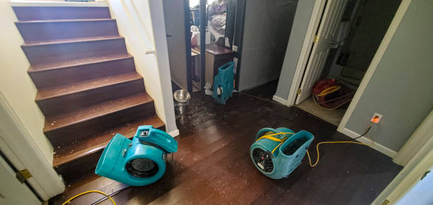 Reliable Laurel Bay, SC Water damage restoration Solutions