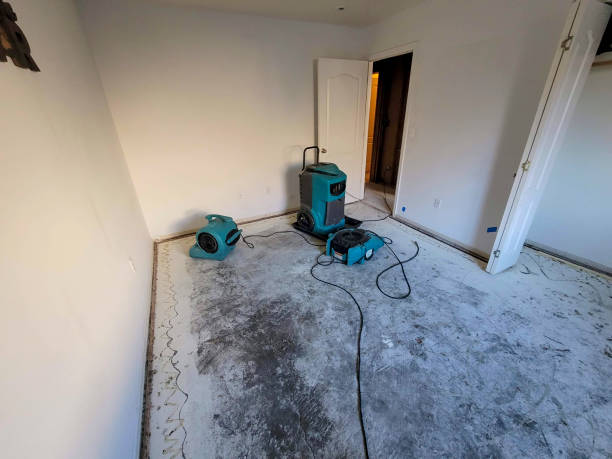 Best Water damage repair service  in Laurel Bay, SC