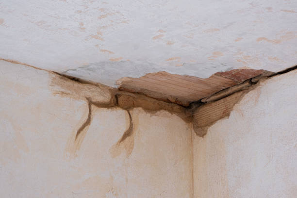 Best Mold removal after water damage  in Laurel Bay, SC