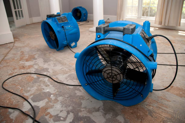 Best Mold removal after water damage  in Laurel Bay, SC