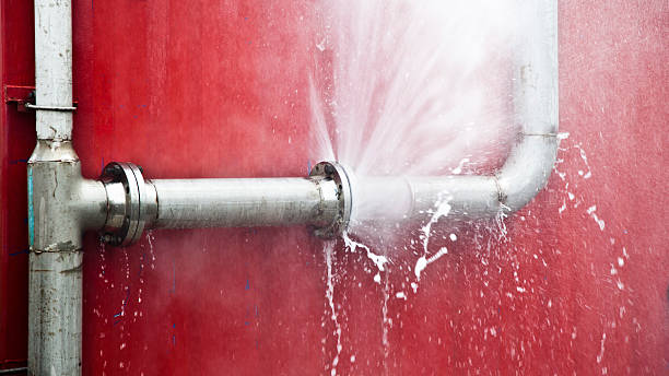 Best Professional water damage repair  in Laurel Bay, SC